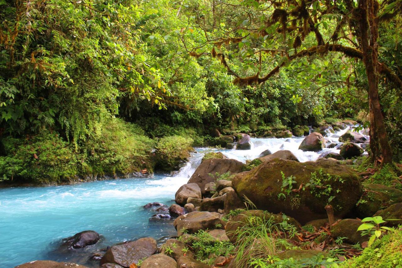 Rio Celeste Nature View Upala Exteriér fotografie
