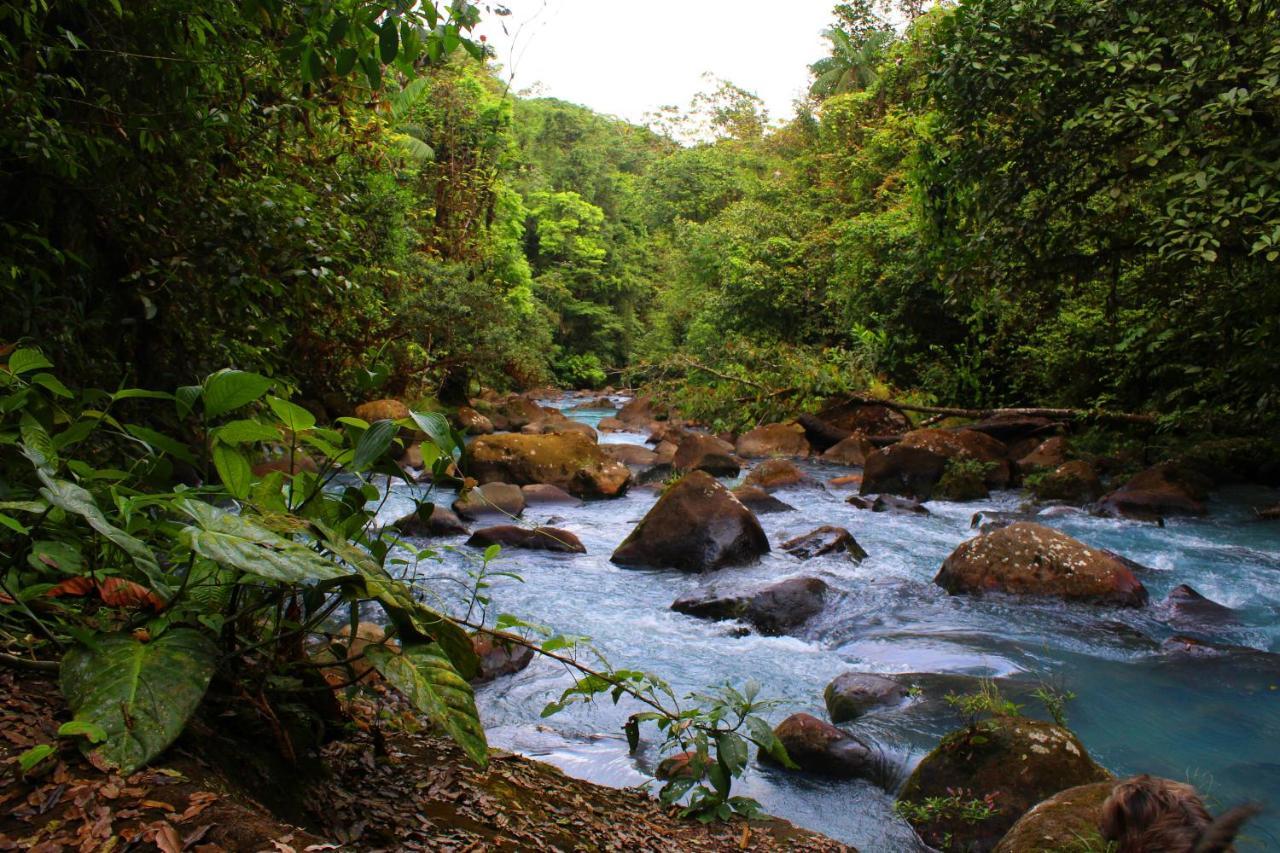 Rio Celeste Nature View Upala Exteriér fotografie